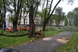 Służby pracują nad usuwaniem skutków wichury 