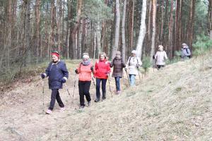 Rajd nordic walking ścieżkami lasów tomaszowskich