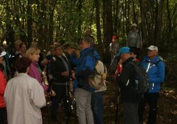 Rajd Nordic Walking w okolicach Żądłowic