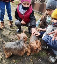 Zajęcia dogoterapii w przedszkolu