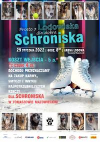 Prosto z lodowiska – na rzecz schroniska