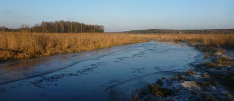 Noworoczne morsowanie i spływ kajakowy. AMBER rozpoczął nowy rok